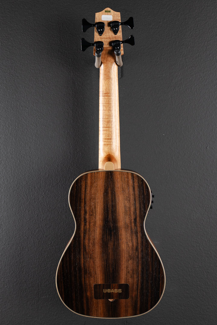 Striped Ebony Fretted U•BASS, Recent
