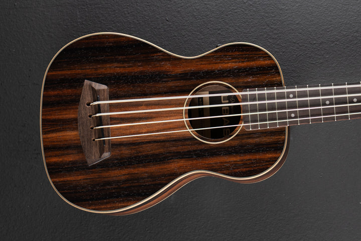 Striped Ebony Fretted U•BASS, Recent
