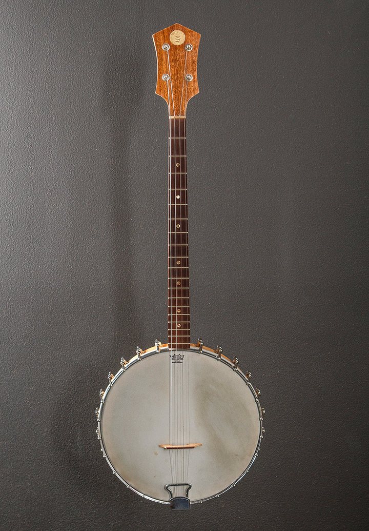 Tenor Banjo, Early 1970's