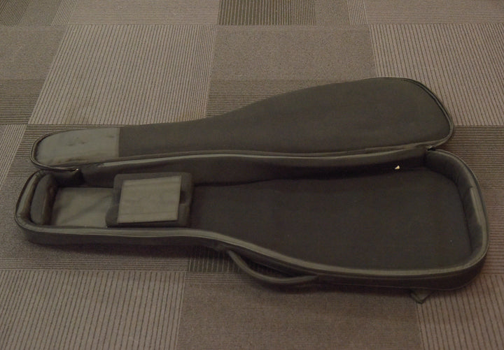 Strat/Tele-Fit Gig Bag, Recent