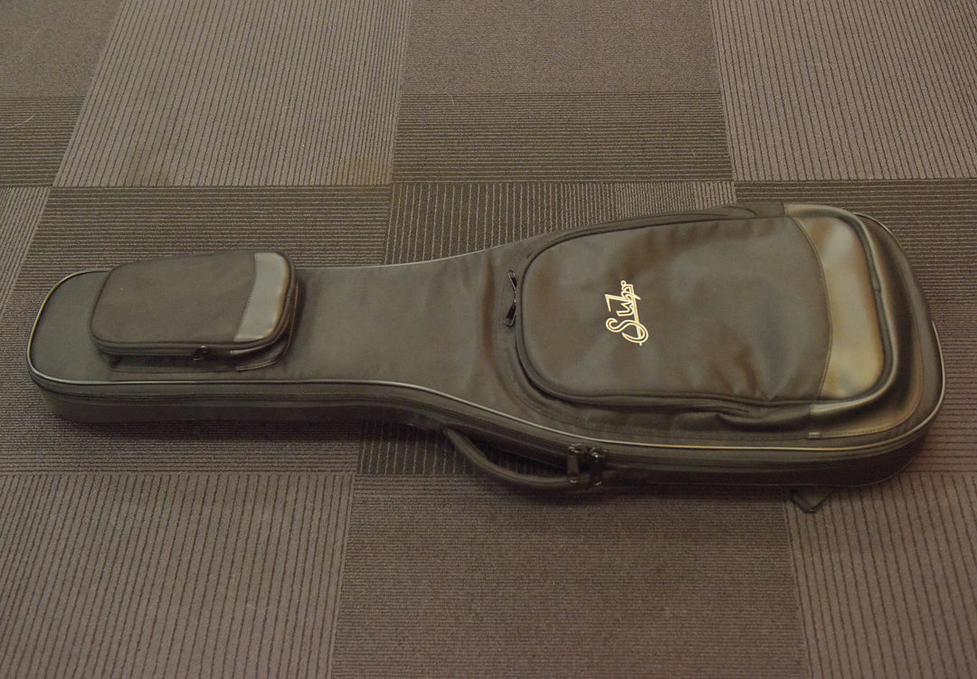 Strat/Tele-Fit Gig Bag, Recent