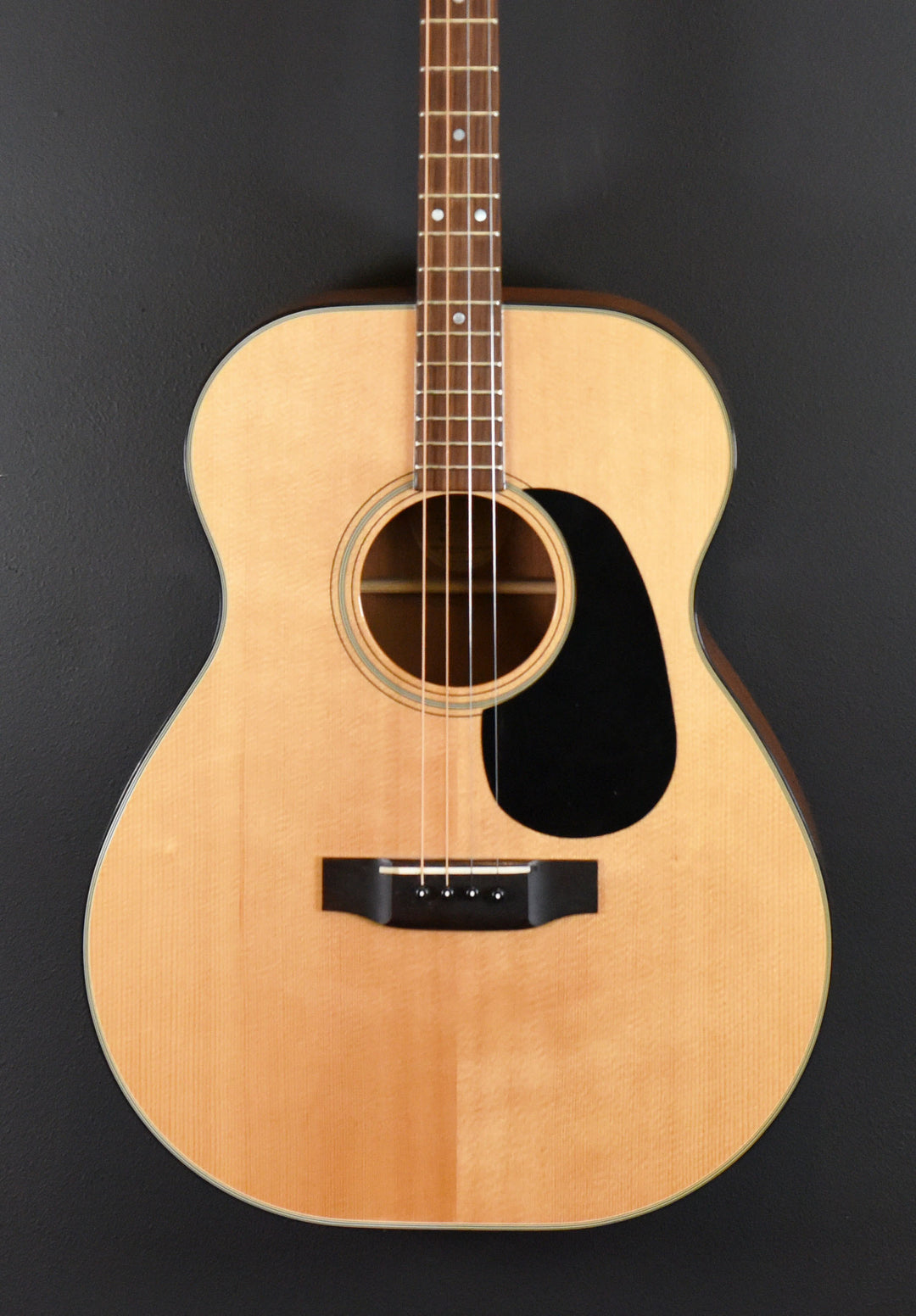 BR-40T Tenor Guitar, Recent