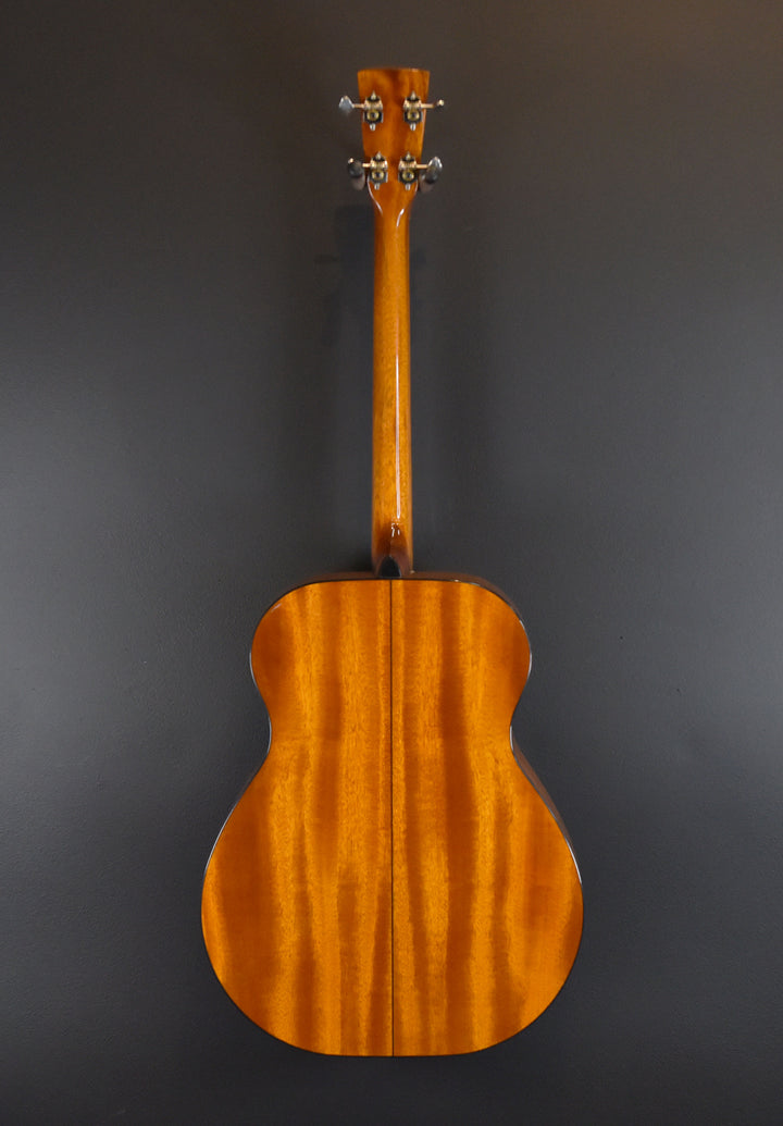 BR-40T Tenor Guitar, Recent