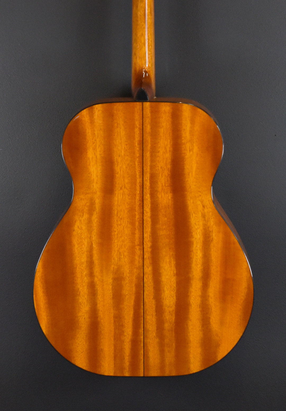 BR-40T Tenor Guitar, Recent