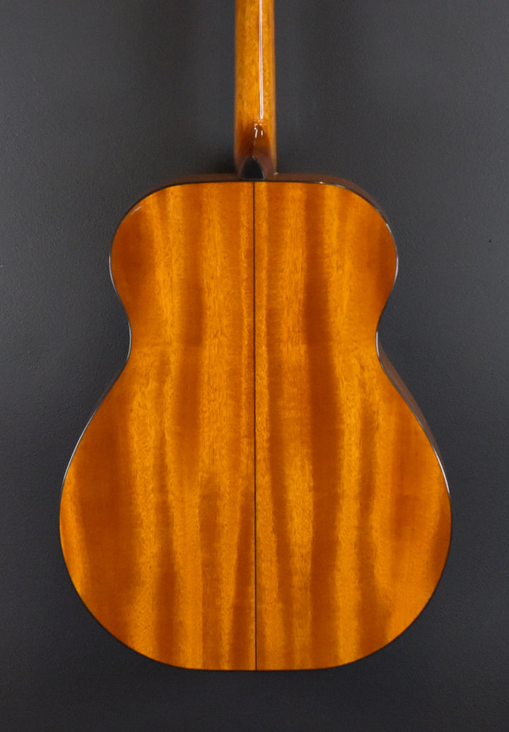 BR-40T Tenor Guitar, Recent