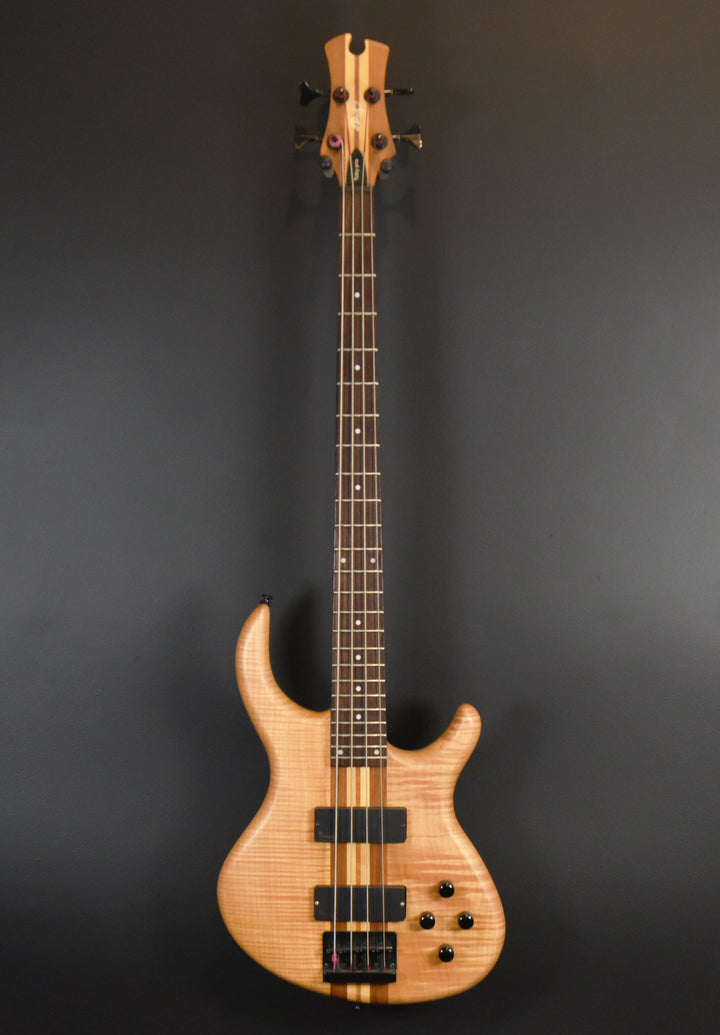 Toby Pro 4 Bass, Recent