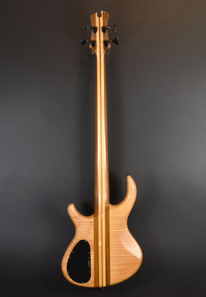 Toby Pro 4 Bass, Recent