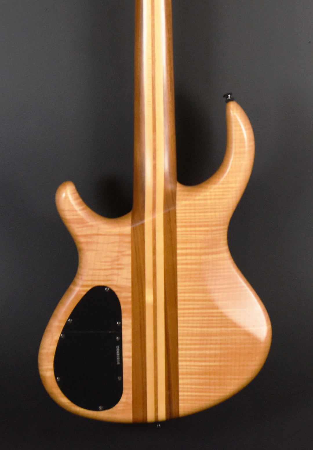 Toby Pro 4 Bass, Recent