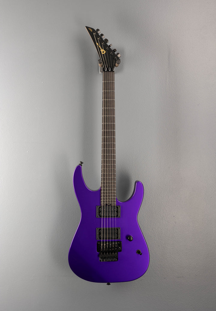 Custom Shop DK24 HH FR - Purple Metallic