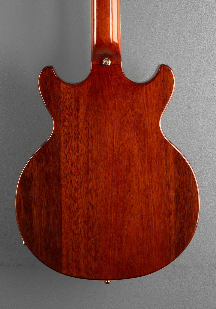 Sarasota 12 String, Recent