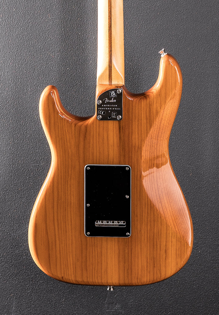 Used American Professional II Strat &