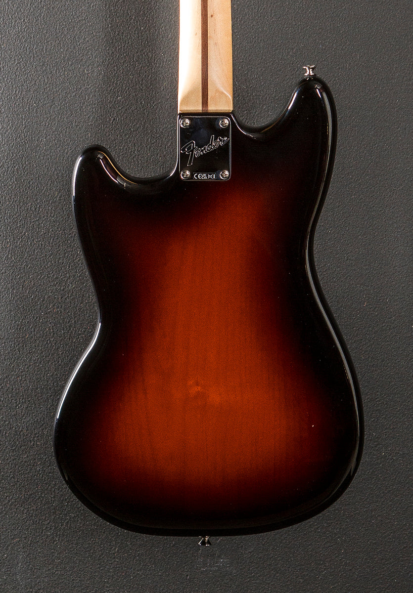 Used American Performer Mustang '25