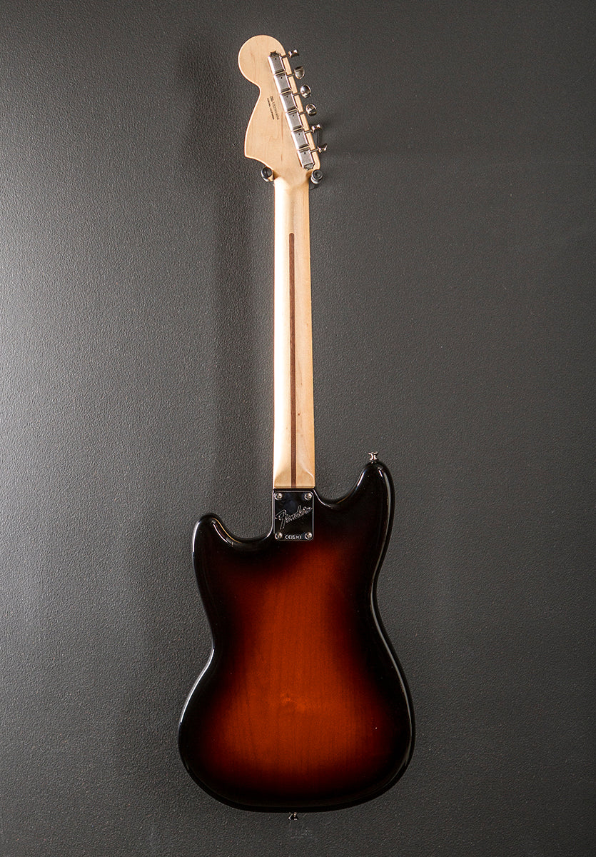 Used American Performer Mustang '25