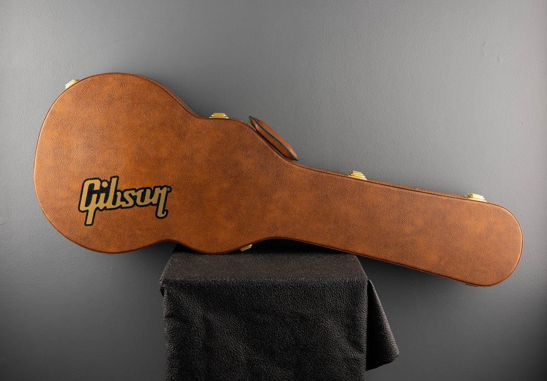 USA Les Paul Case, Recent