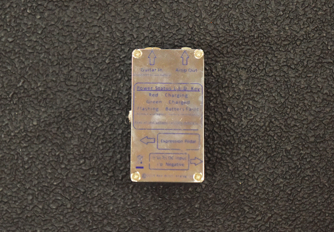 Violetta Delay, Recent