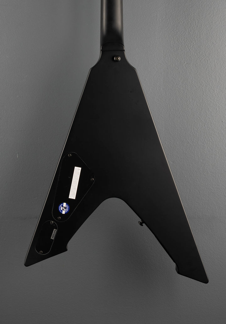LTD James Hetfield Signature Vulture &
