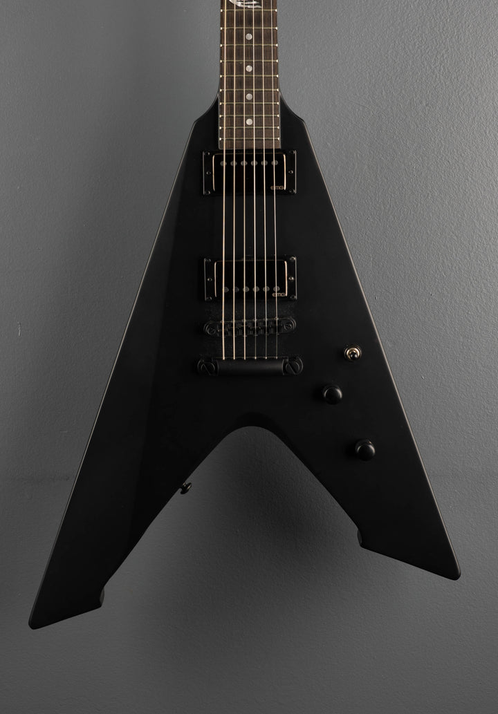 LTD James Hetfield Signature Vulture &