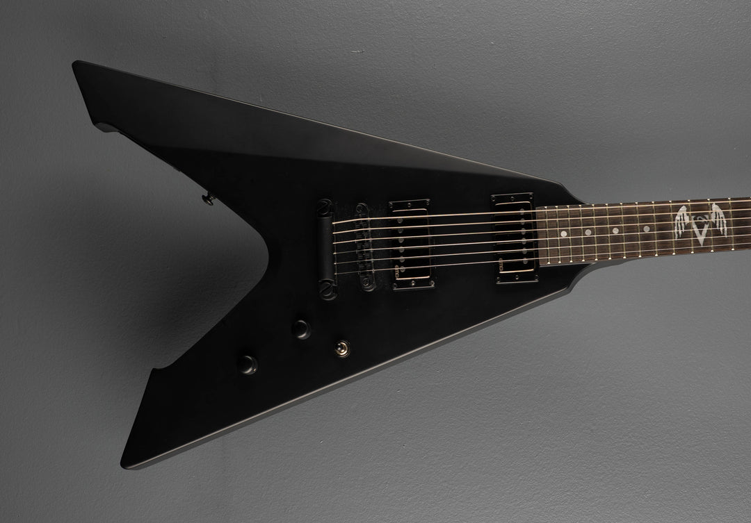 LTD James Hetfield Signature Vulture &
