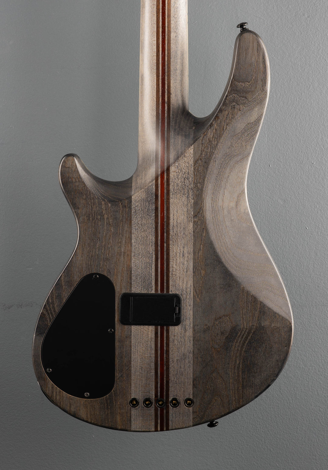 SLS Evil Twin-5 String Bass, &