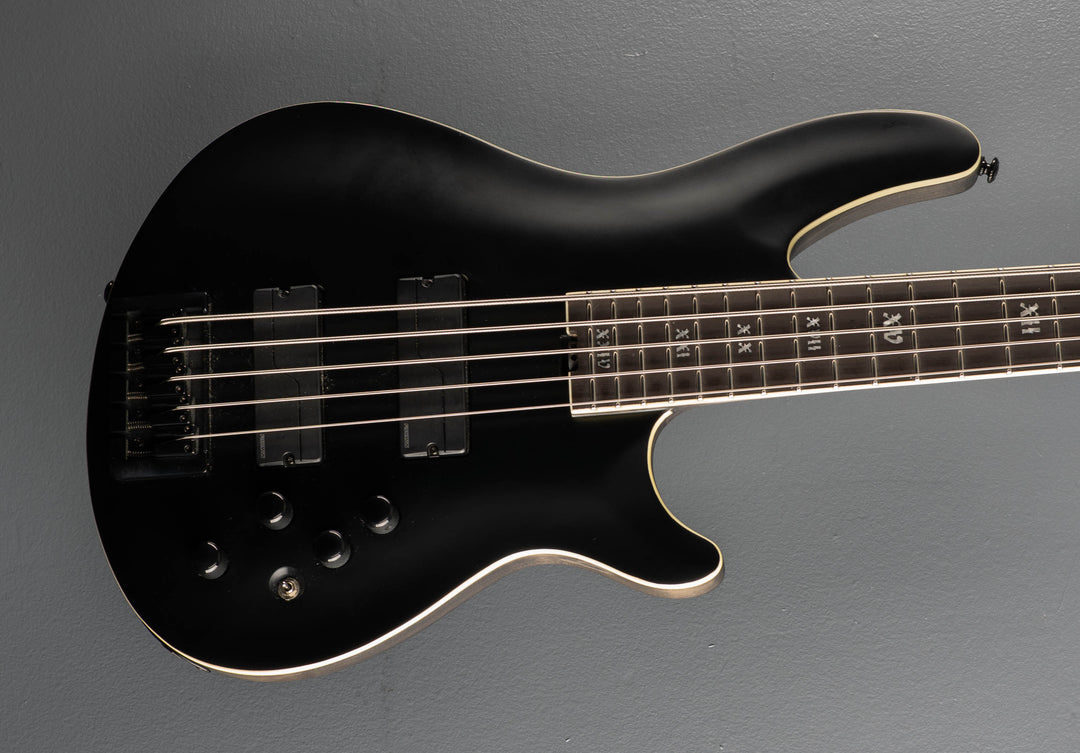 SLS Evil Twin-5 String Bass, &