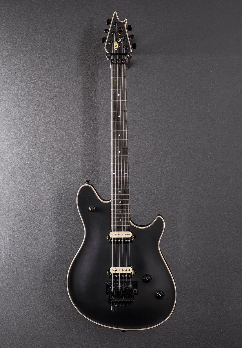 Used Wolfgang USA Stealth '23 – Dave's Guitar Shop