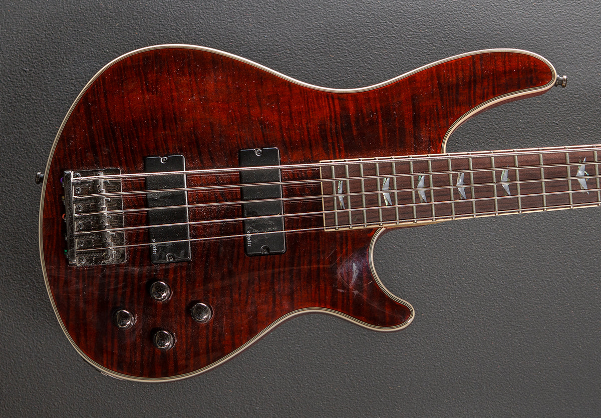 Omen Extreme 5 String Bass '21 – Dave's Guitar Shop