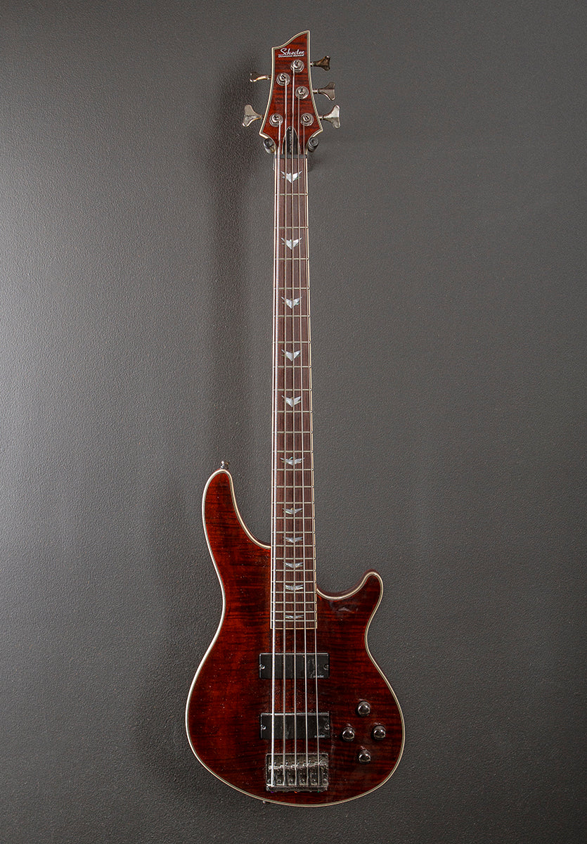 Omen Extreme 5 String Bass '21 – Dave's Guitar Shop