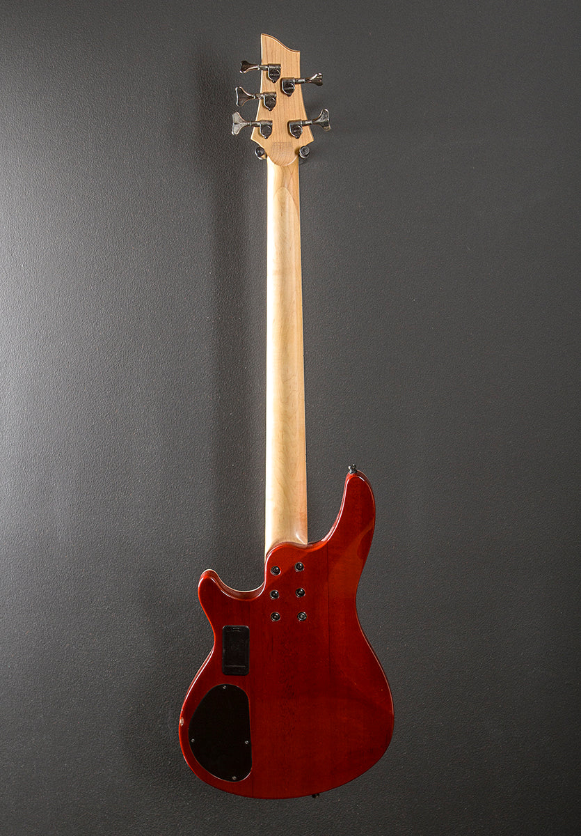 Omen Extreme 5 String Bass '21 – Dave's Guitar Shop