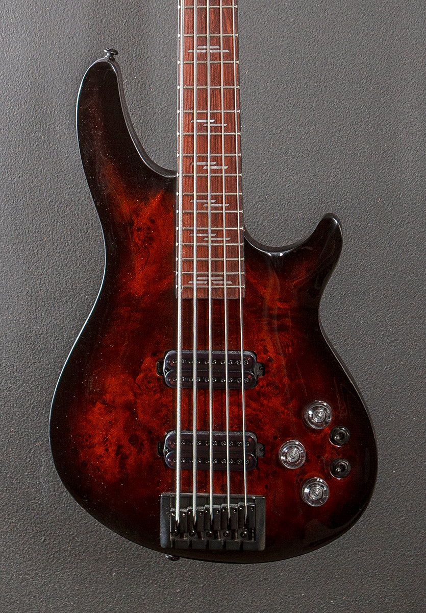 Omen Elite 5 String Bass '22