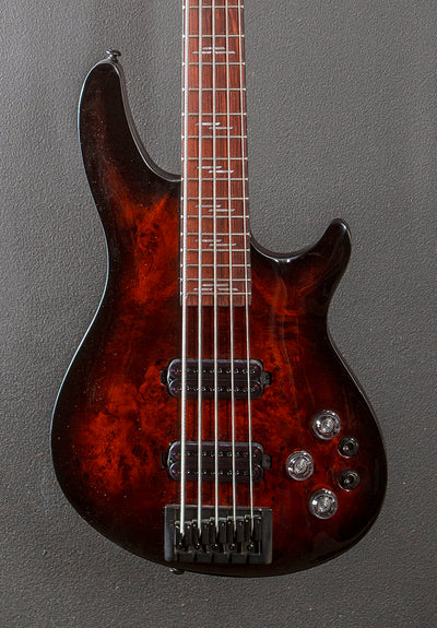 Omen Elite 5 String Bass '22