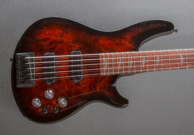 Omen Elite 5 String Bass '22