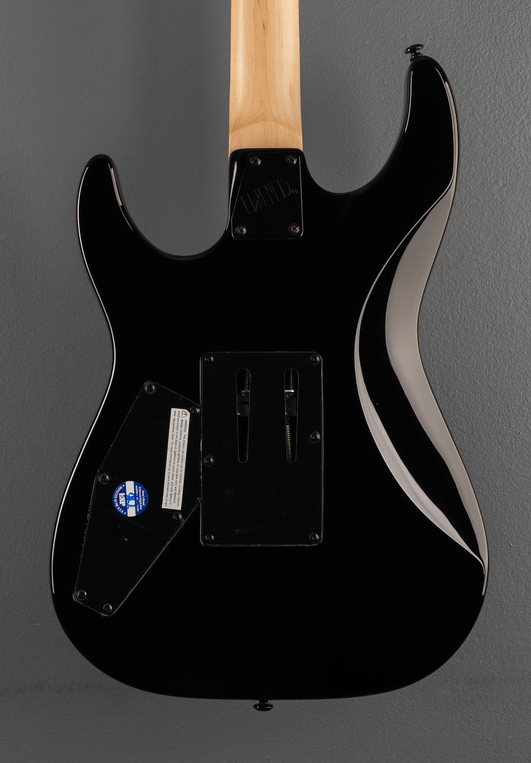 LTD George Lynch GL-200K - Black