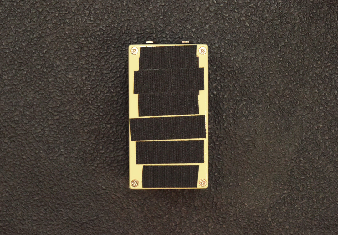 Eons Five-State Fuzz, Recent