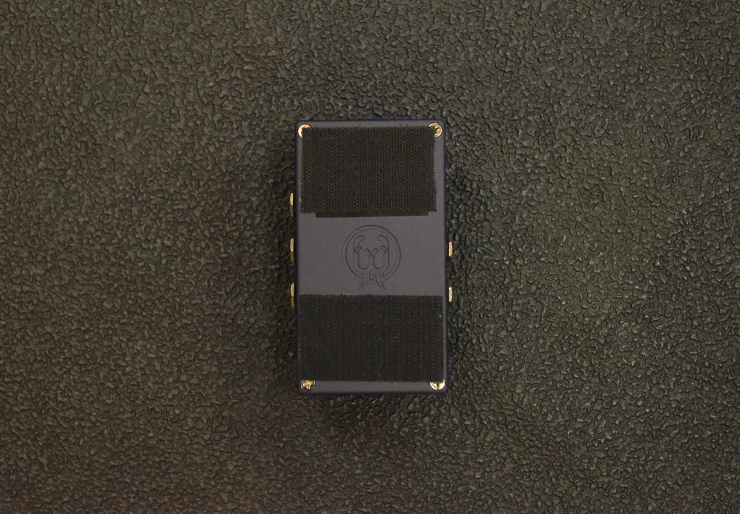 Julianna Deluxe Chorus/Vibrato, Recent