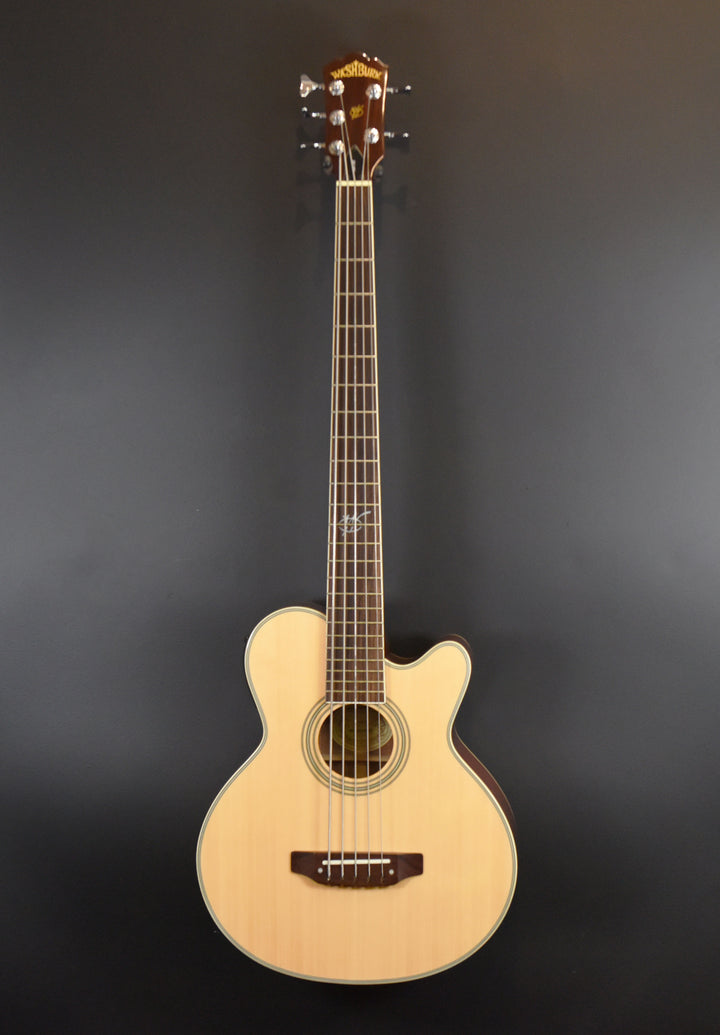 AB35 Acoustic 5-String Bass, Recent