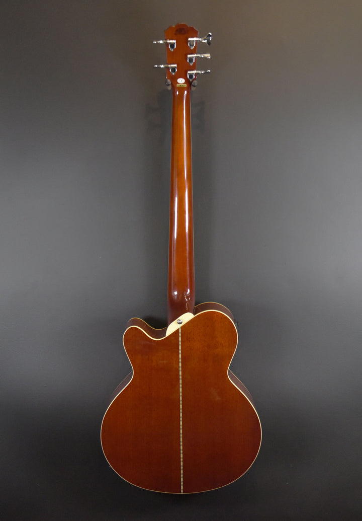 AB35 Acoustic 5-String Bass, Recent