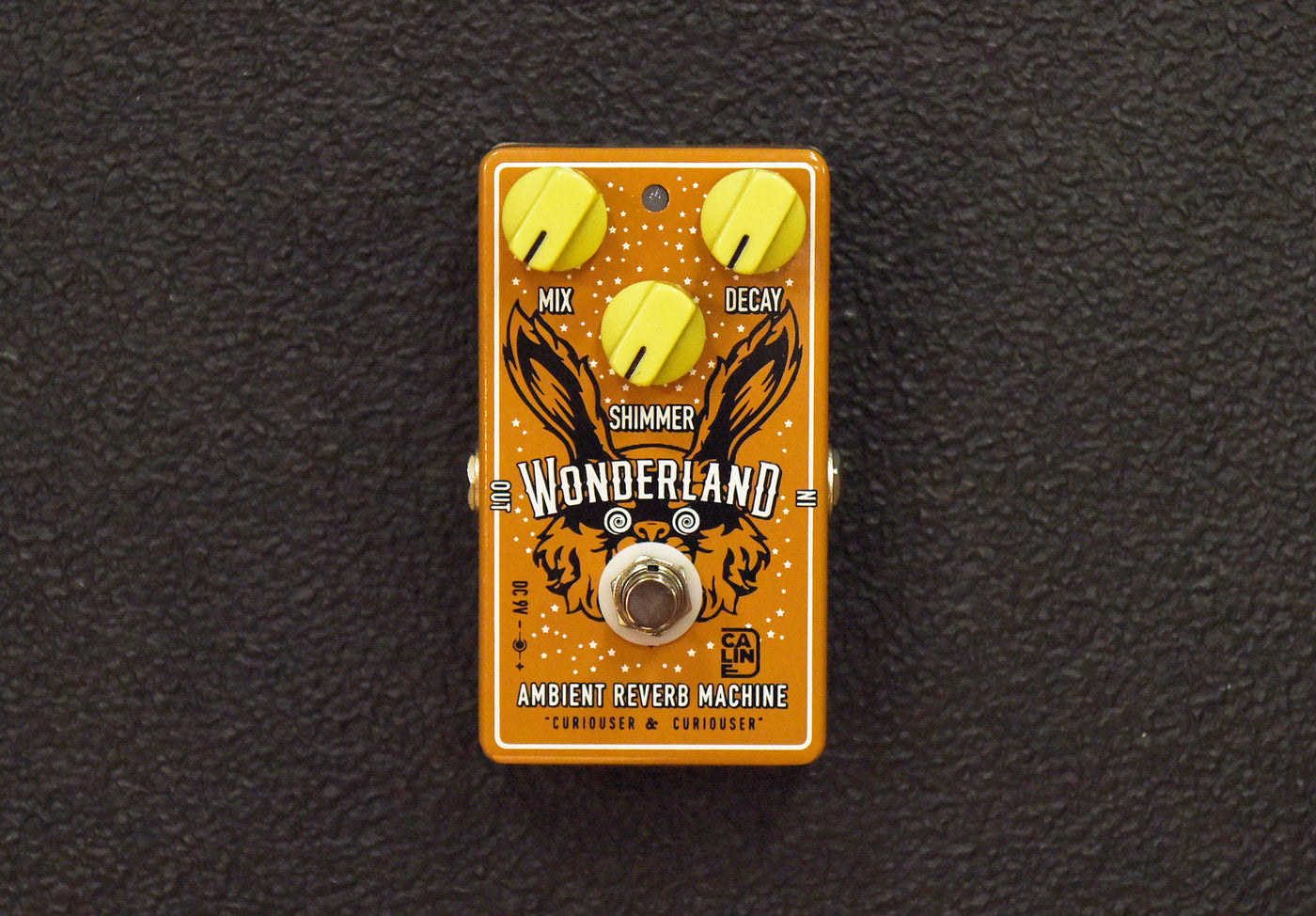 Wonderland Ambient Reverb, Recent