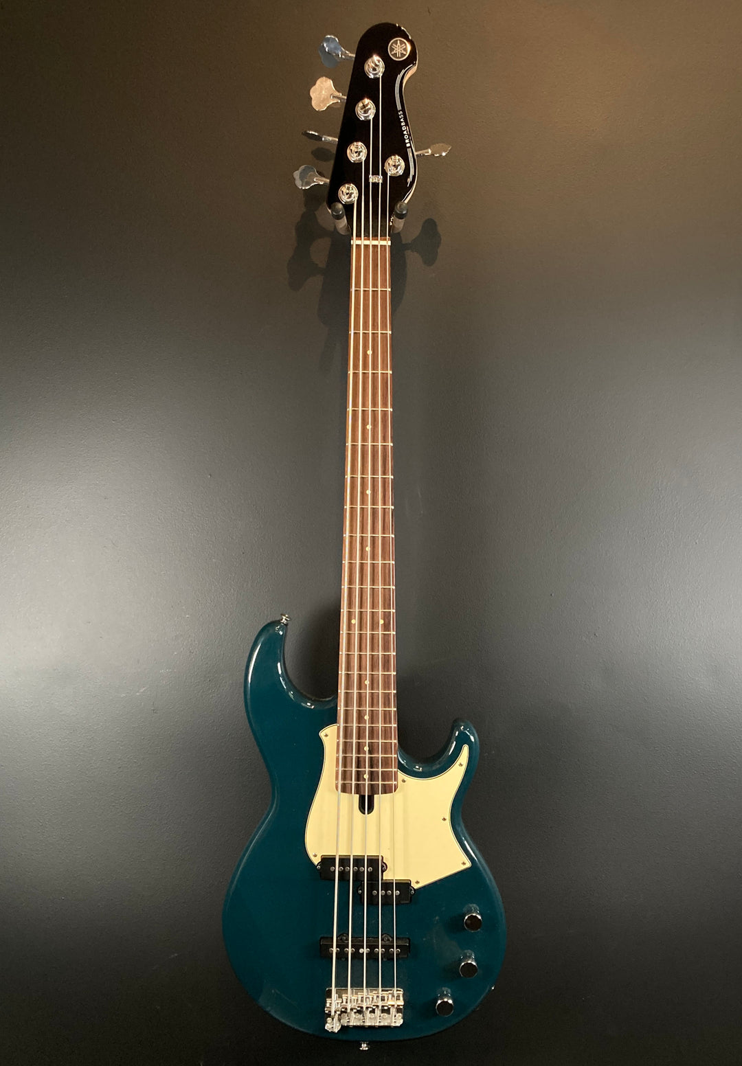 BB435 5-String BroadBass, Recent