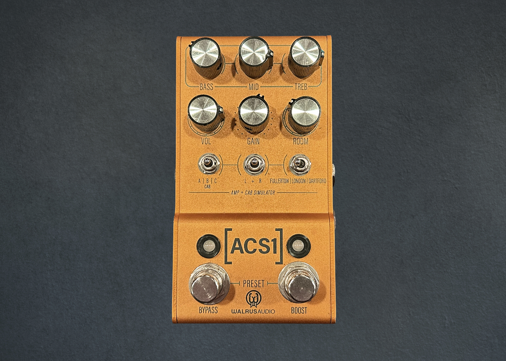 ACS1, Recent – Dave's Guitar Shop