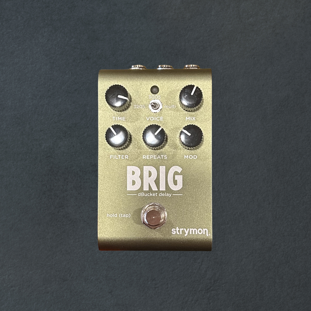 Brig - dBucket Delay, Recent – Dave's Guitar Shop
