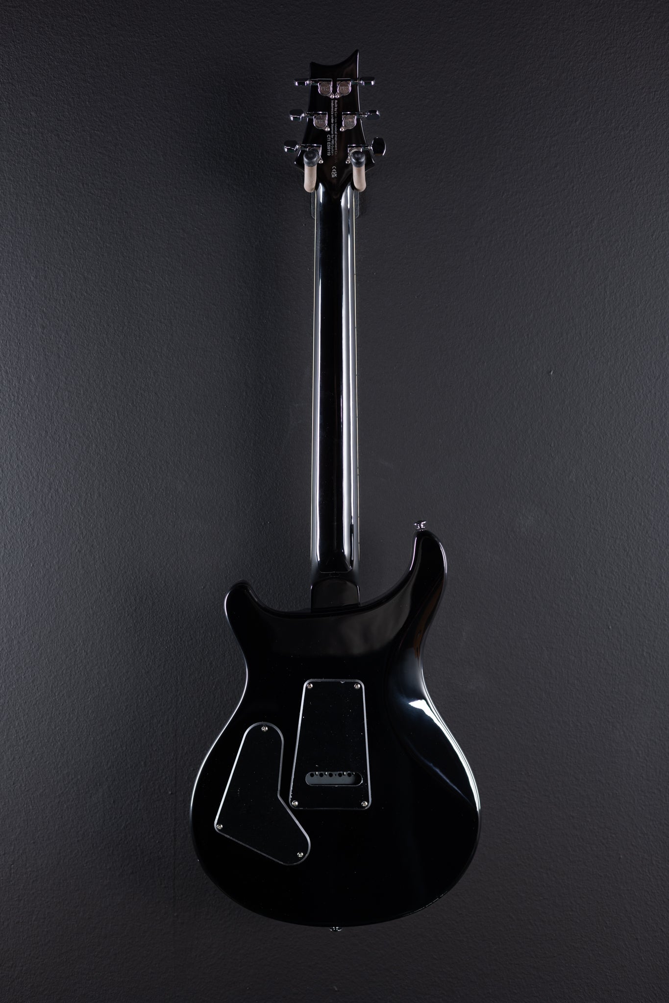 SE Custom 24 Quilt '22