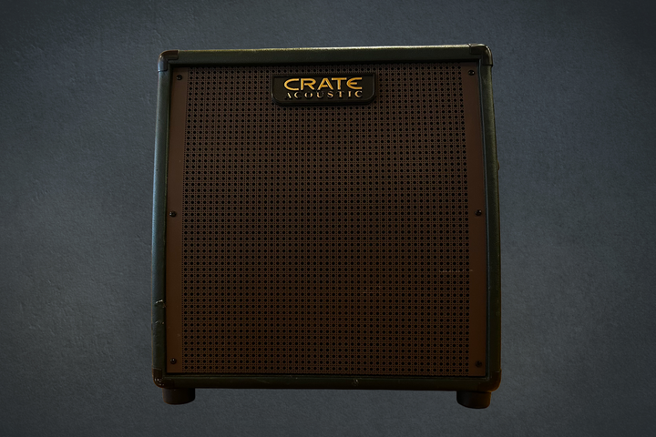 CA6110DG Gunnison 1-10 Acoustic Combo, Recent