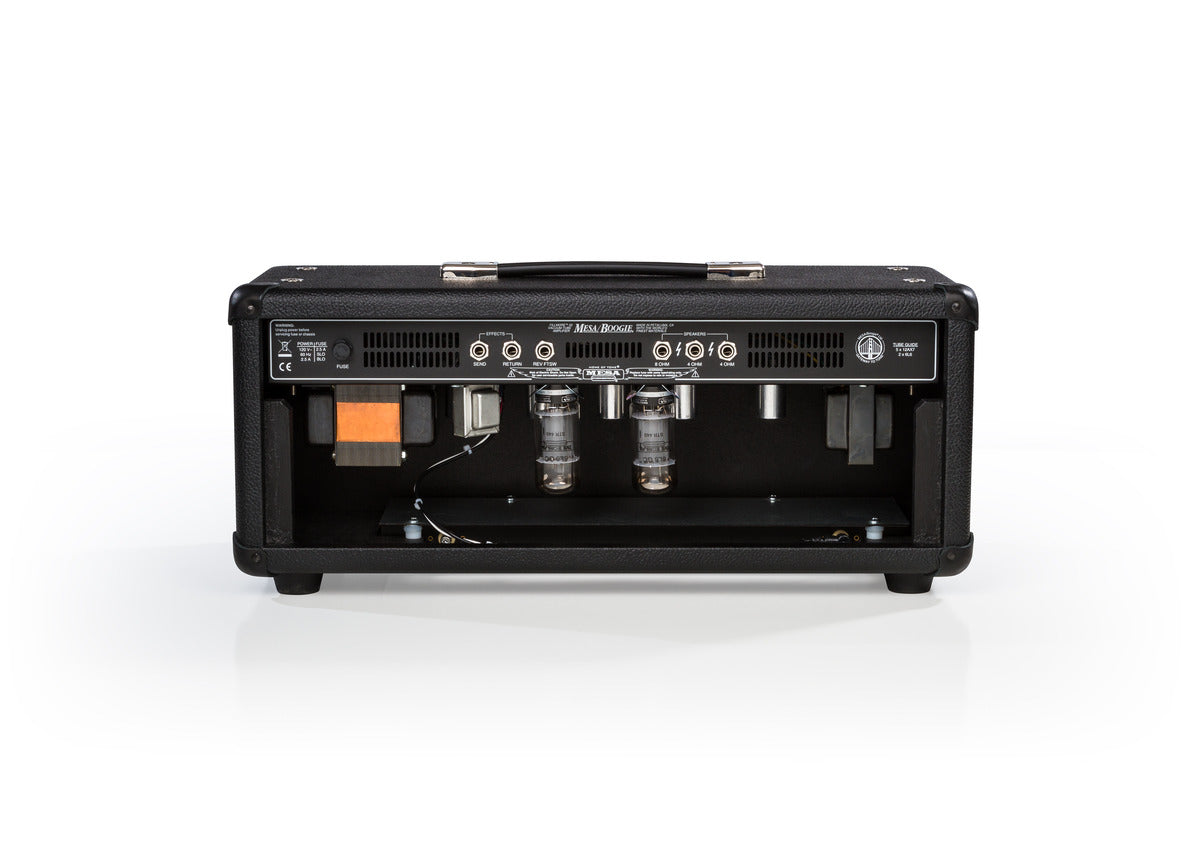 Fillmore 50 Medium Head – Dave's Guitar Shop