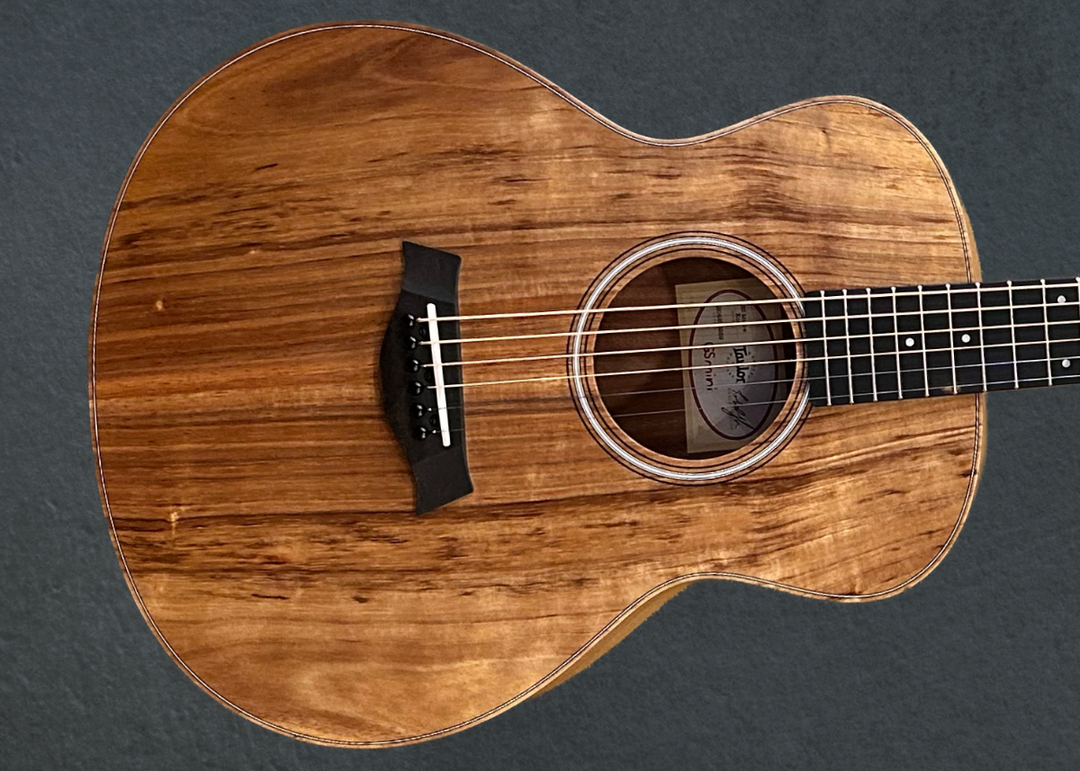 Taylor Guitars – Dave's Guitar Shop