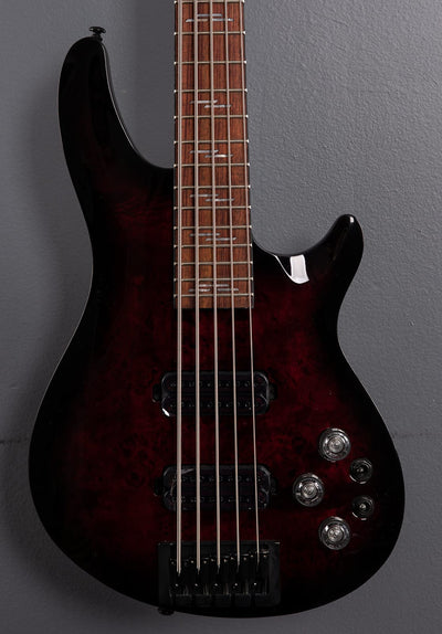Omen Elite 5 String Bass '22