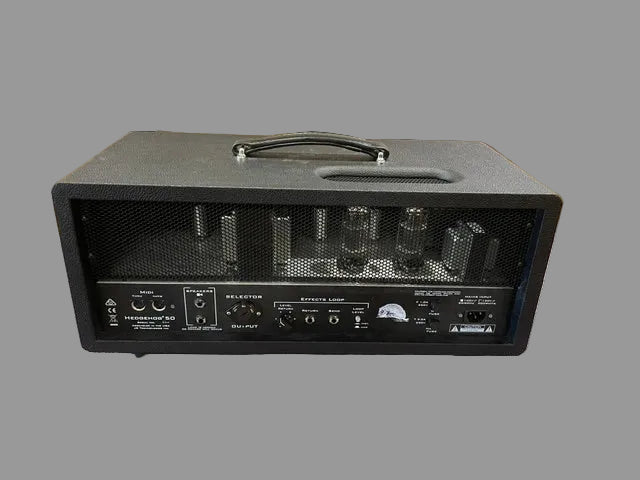 Hedgehog 50 Head, Recent