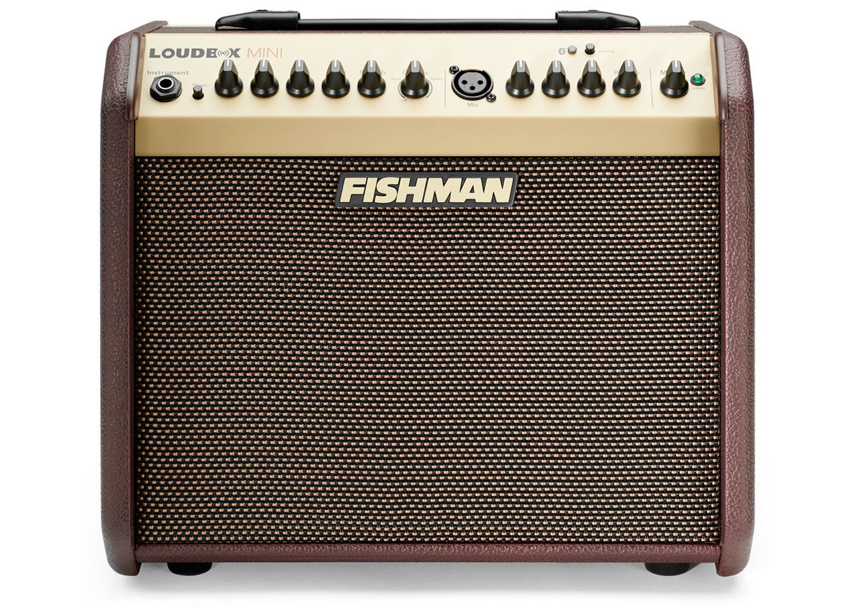 Loudbox Mini – Dave's Guitar Shop