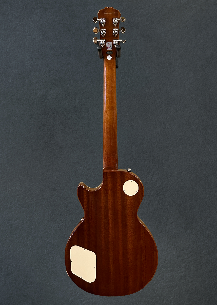Les Paul Standard Pro &