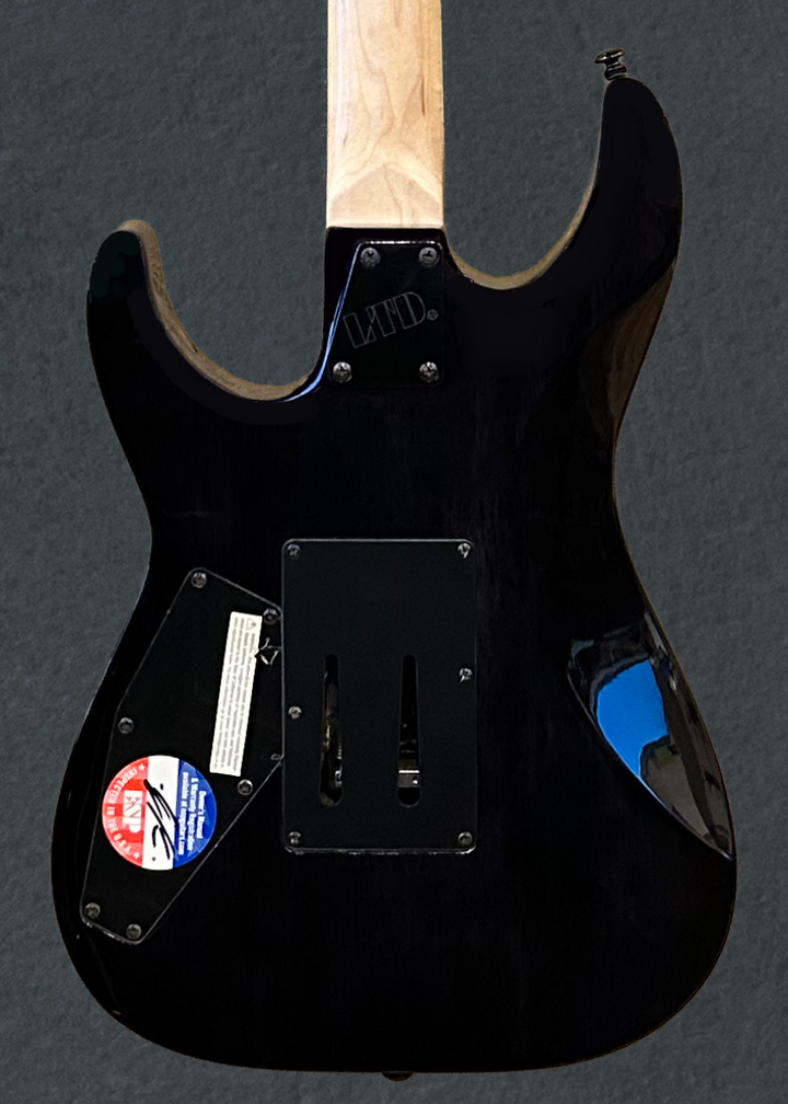 LTD M-100FM &