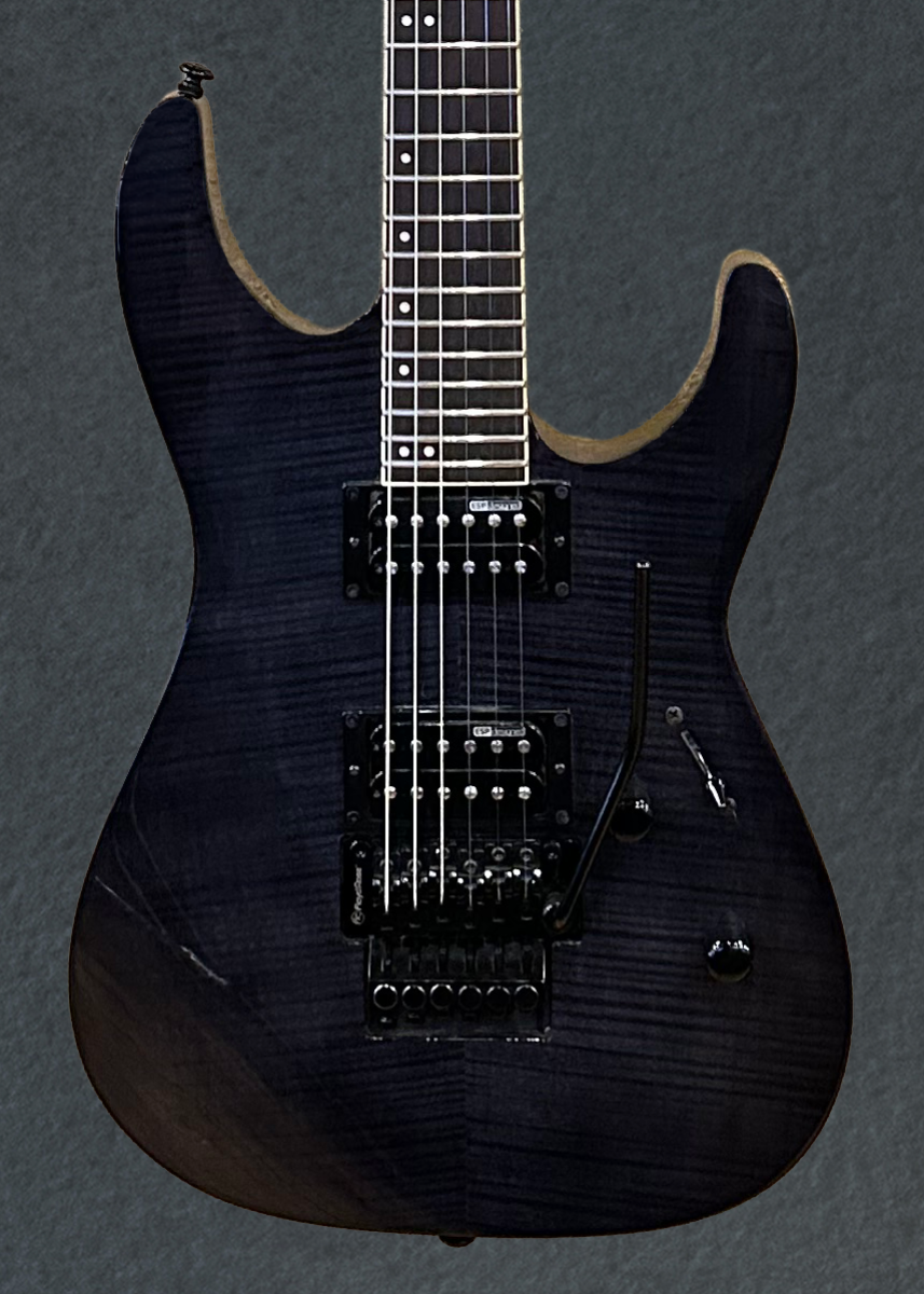 LTD M-100FM &